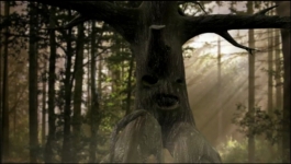 Parul - 28th March 2025